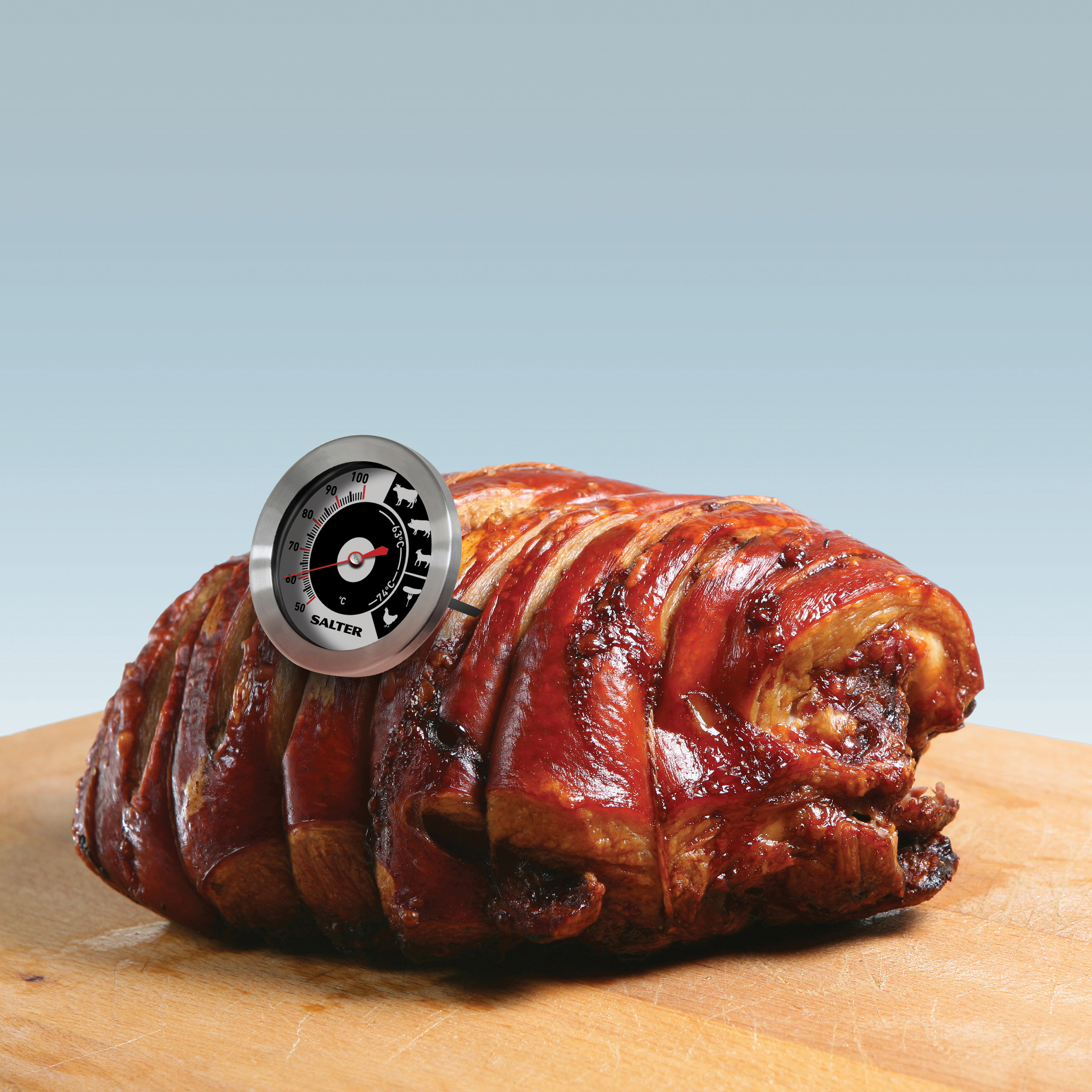 Salter Traditional Meat Thermometer