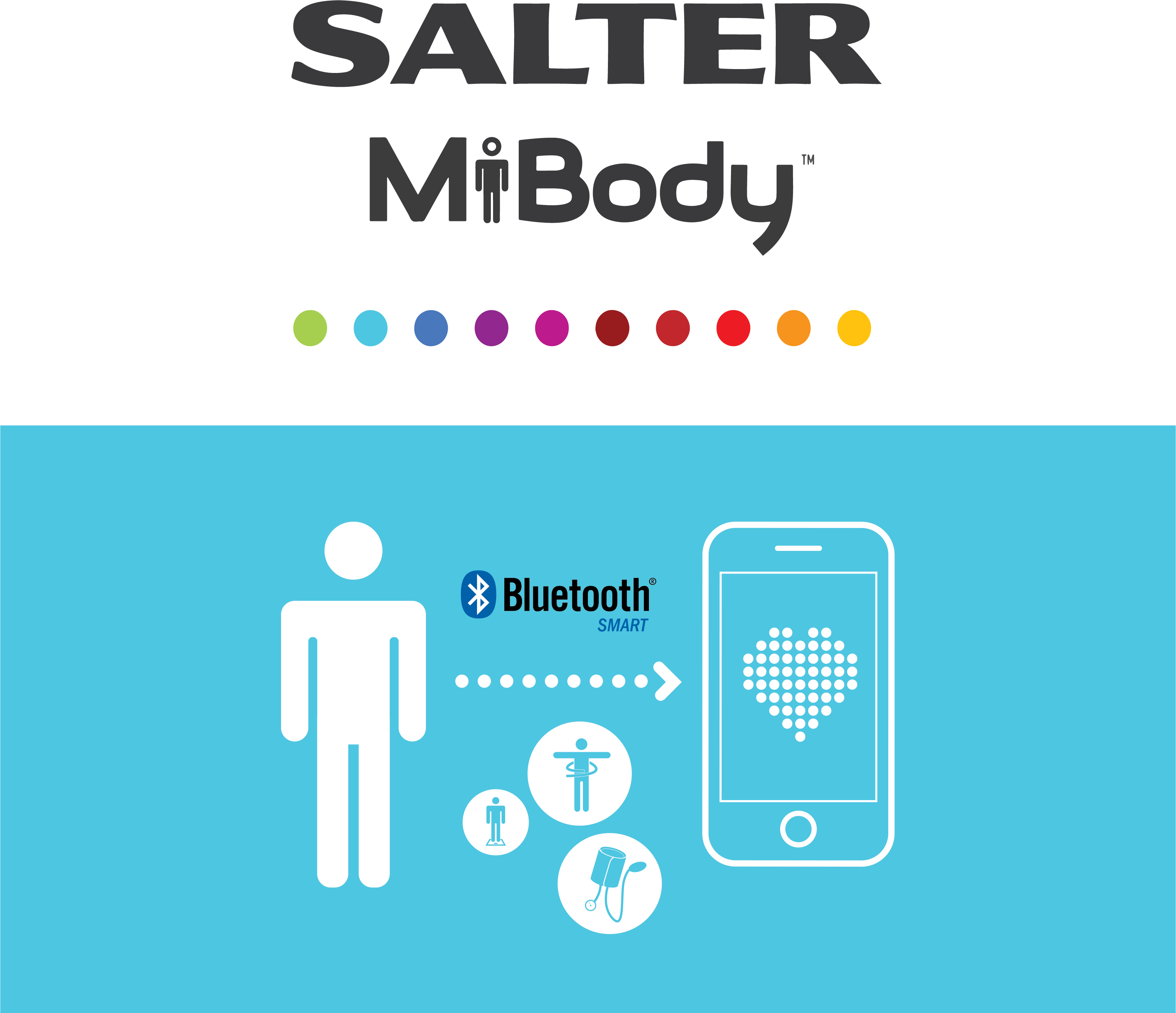Understanding Body Composition - Salter