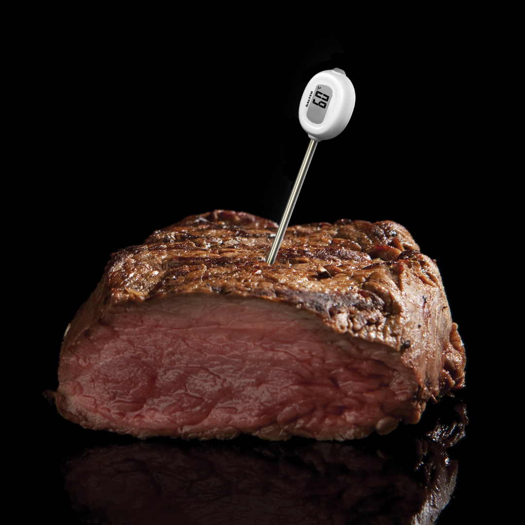 Salter Traditional Meat Roasting Thermometer