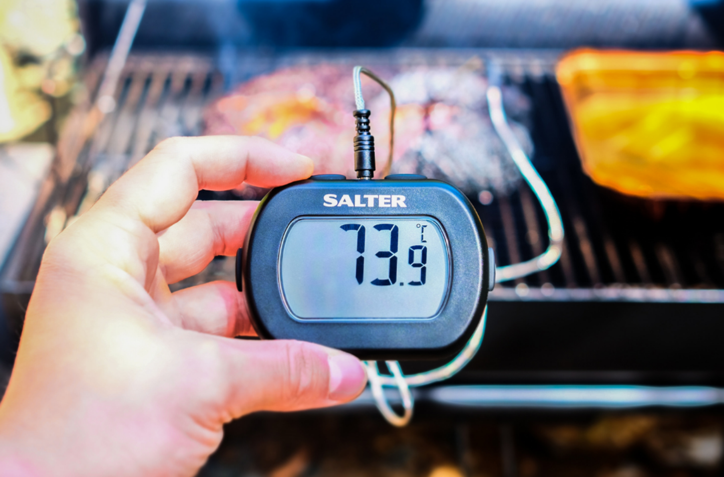 Salter Meat Thermometer showing 73.9 degrees C